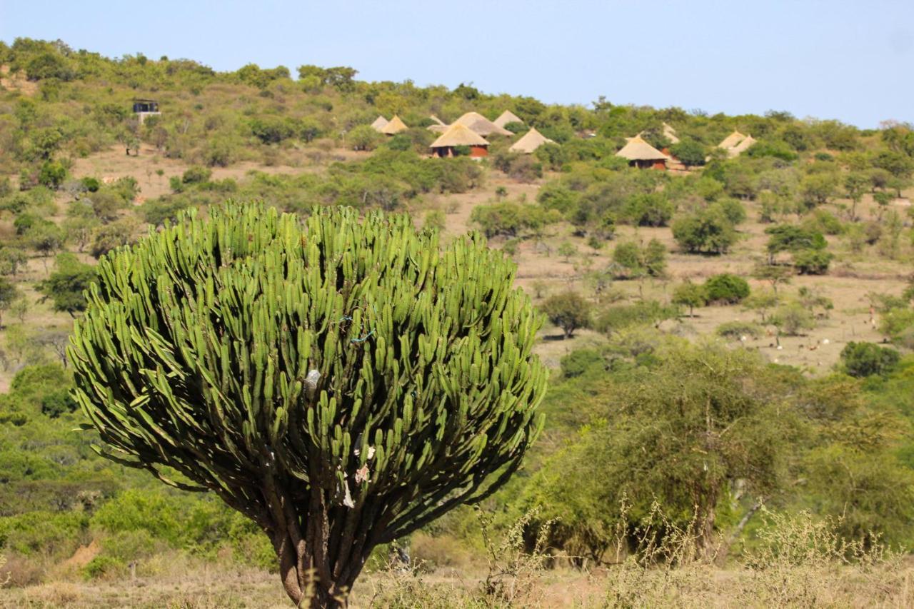 Africa Safari Maasai Boma Camping Serengeti Exterior photo